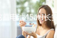 駱駝蓄電池45aH長安之星2東風(fēng)小康K07S金杯小海獅X30適配汽車電瓶