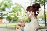 駱駝蓄電池12V150AH大功率大容量船舶逆變器照明擺攤大貨車電瓶