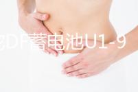 駱駝DF蓄電池U1-9割草機旋耕微耕機路面切割機發電機12V24AH電瓶