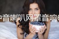 高中音喇叭網(wǎng)罩音響6.5寸1.5寸3寸3.5寸4寸鋁合金保護(hù)網(wǎng)罩裝飾圈