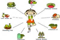 NFA12V/24V汽車蓄電池充電器啟停電瓶充電器自動智能修復充電機