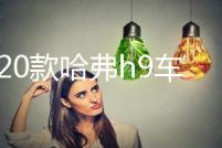 15-20款哈弗h9車貼拉花腰線專用汽車外觀裝飾彩條貼紙H9改裝配件