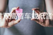 10寸雙高音車載低音炮12V貨車音響24V汽車音響藍牙家用音箱220V