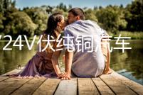 12V24V伏純銅汽車電瓶充電器通用智能大功率農(nóng)用車收割電瓶充電機(jī)