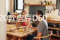 17-20款啟辰D60中網外觀專用改裝飾條前臉汽車用品配件防絮防蟲網